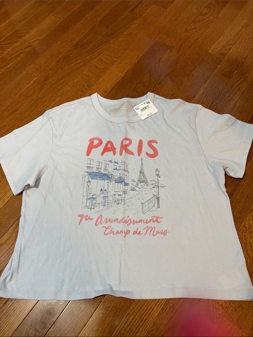 American Eagle Outfitters Light Blue T-Shirt with Coral Pink Print